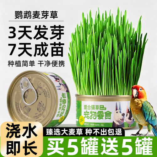 鸟类专用~买5罐送5罐大麦草饲料