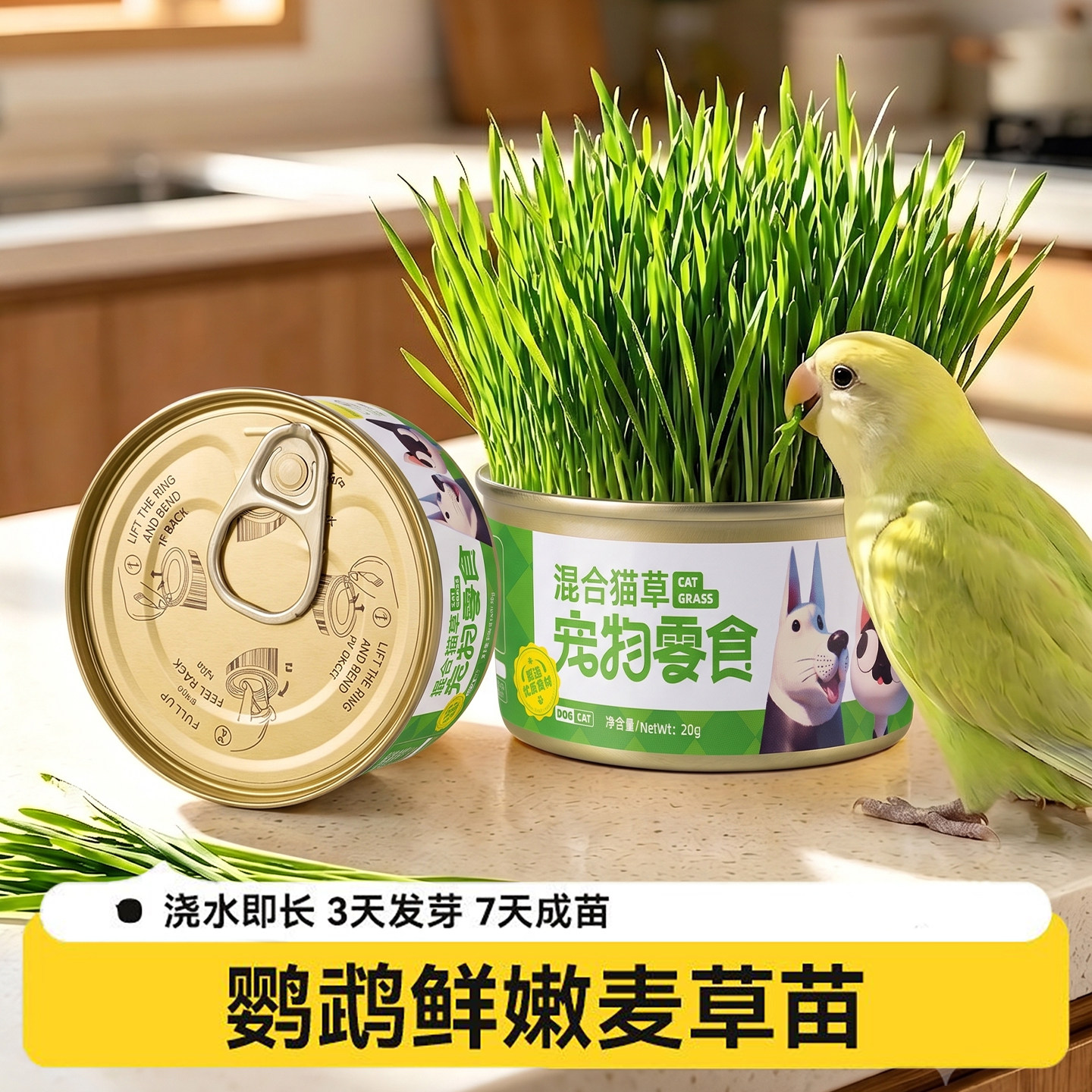 自有田地!天然麦芽草解馋促消化