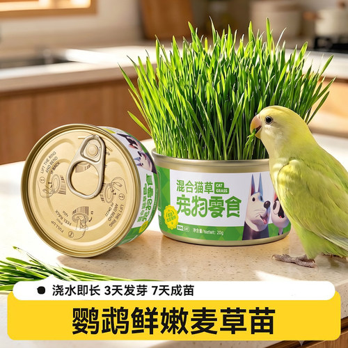 自有田地！天然麦芽草解馋促消化