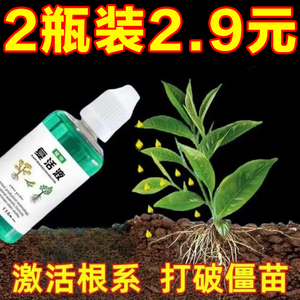 植物复活液通用型盆栽养花针对光杆发黄掉叶生长快速增长活性专用