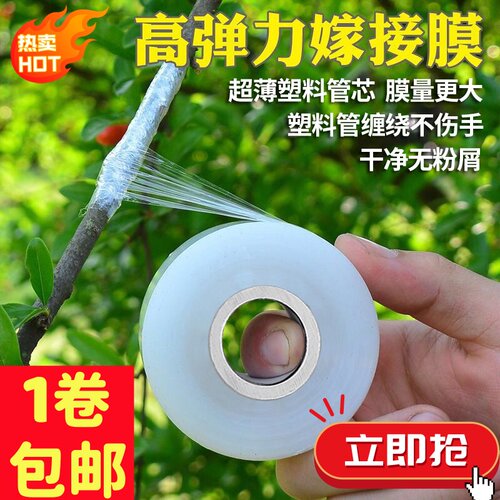 PE自粘嫁接膜果树专用无需打结