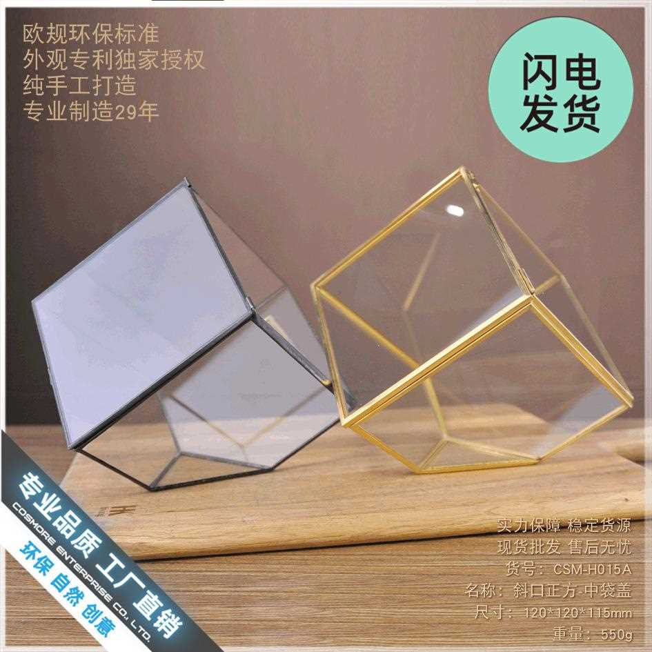 新款直销斜口正方中带盖 多肉植物苔藓微景观大玻璃永生小花房盒