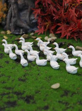 新款直销苔藓微景观仿真可爱小鸭子摆件跨境多肉盆栽花园装饰品树