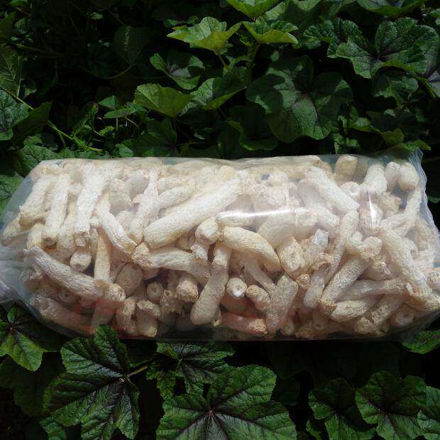 新货福建竹荪竹笙干货无裙杆子500g 天然无硫熏农家货直销包邮