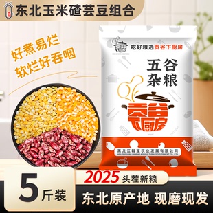 东北粘玉米大碴粥糯玉米碴子玉米糁芸豆新货黏玉米五谷杂粮饭粗粮