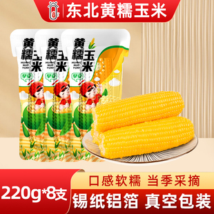东北黄黏糯玉米25年新货低脂饱腹黄苞米现摘新鲜甜玉米粒非即食