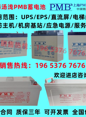 PMB蓄电池LCR/LCPC/LCPA12V200A150A120A100A65A应急机房直流屏用