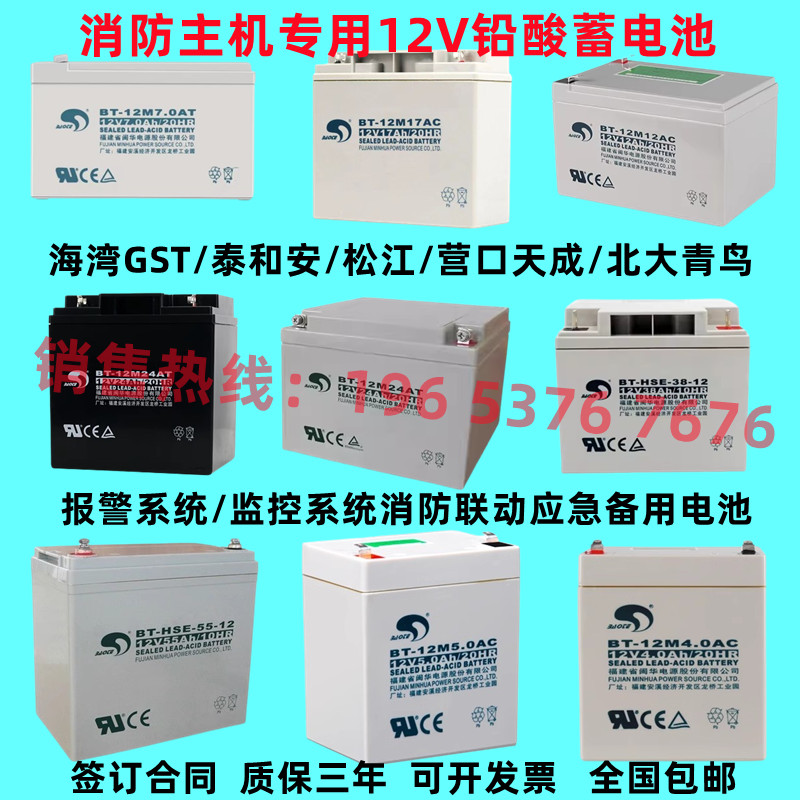 原装海湾泰和安消防报警主机电池气体灭火灾报警控制器备用蓄电池