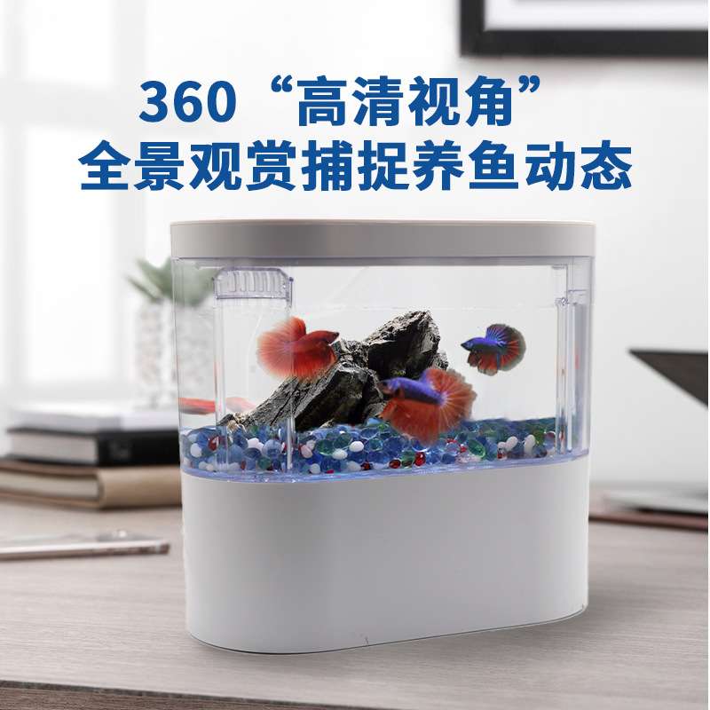 鱼缸一键换水自循环小鱼缸客厅小型桌面家用水族箱生态免换水鱼缸