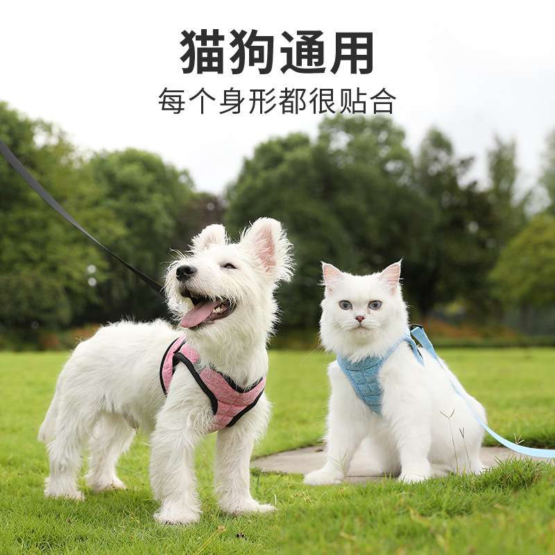 狗狗牵引绳幼猫反光背心式胸背带遛猫绳防挣脱透气可爱小型犬链子