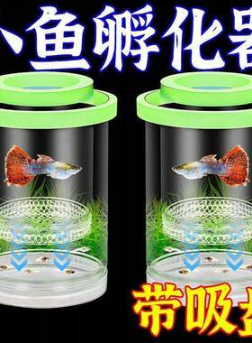 孔雀鱼繁殖隔离盒凤尾鱼孕母鱼胎鱼产卵孵化分离器小鱼苗水族用具