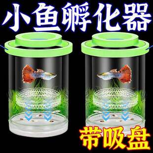 孔雀鱼繁殖隔离盒凤尾鱼孕母鱼胎鱼产卵孵化分离器小鱼苗水族用具