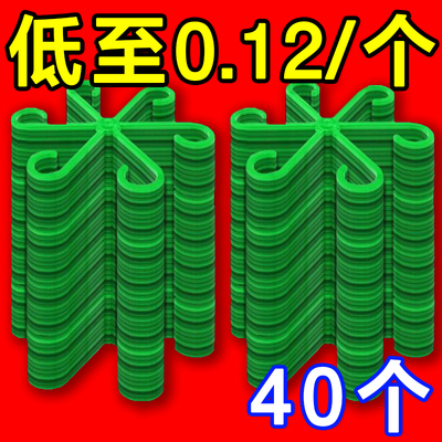 龟背竹花枝收拢架支撑杆