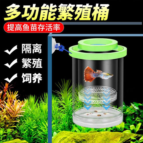 鱼缸小孔雀鱼悬浮隔离孵化产房盒