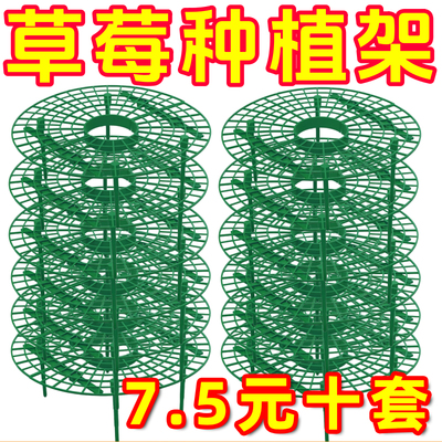 【草莓防烂支架】草莓种植立体架托盘果实支撑架田园果实防烂便宜