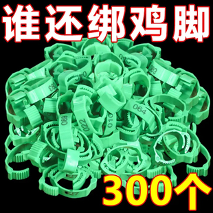 鸡脚脚环记号识别防走失脚卡扣自动扣芦鸡鸭丁鸡鸡用扣环鸭子鸟用