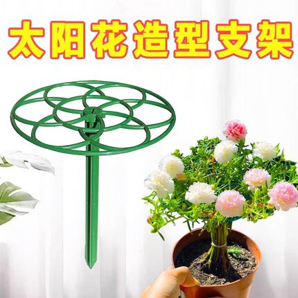 太阳花架子造型棒棒糖支架单层多层支撑架爬藤固定蟹爪兰支撑杆子
