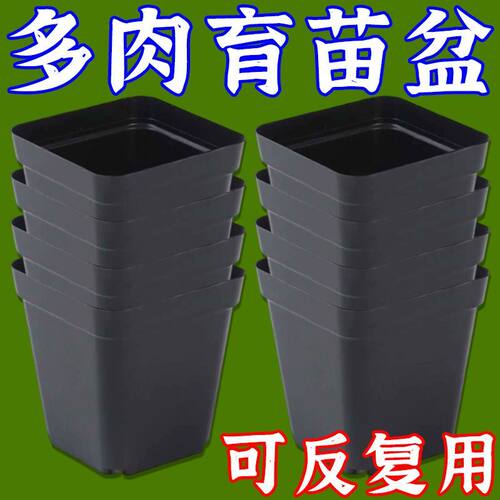 简约实用5厘米小黑方塑料花盆育苗扦插多肉花盆方形盆营养钵花艺