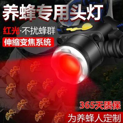 养蜜蜂专用红光头灯查蜂取蜜看蜜蜂灯头戴式手电筒调焦红白双光源