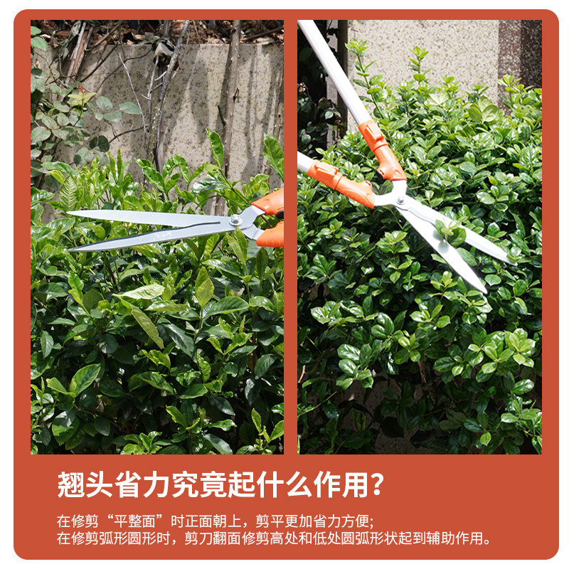 可伸缩园艺大剪刀 强力伸缩树枝修剪工具 2.2米长修枝草坪剪