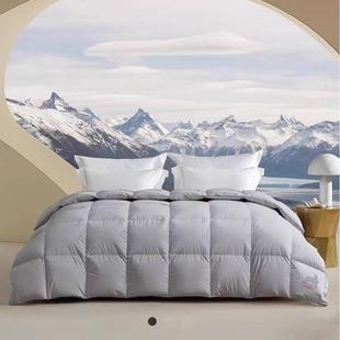 梦洁2025春秋保暖被芯羽绒被 1956 95%东方雪鹅白鹅绒被：登峰3.0