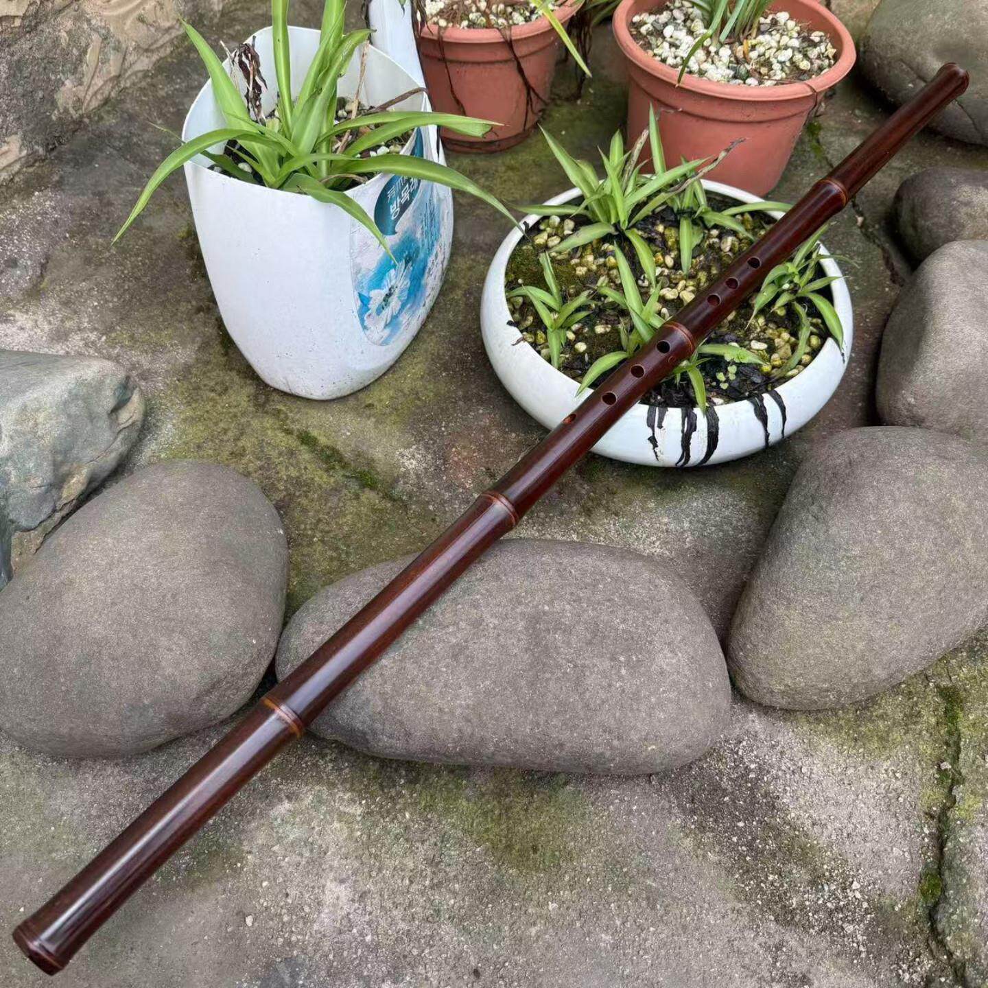 花子君纯手工洞萧长箫大漆紫竹节GF调长萧一节8孔初学演奏乐器