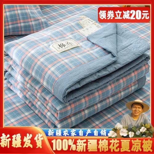新疆棉花被纯棉花夏凉被全棉空调被夏被薄被子里外全棉可水洗被子