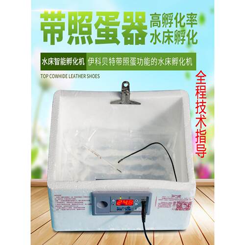 家用型鸡鸭鹅受精蛋小型孵化器全自动控温50枚鹌鹑种蛋水床孵化机
