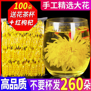 大菊花金丝皇菊贡菊胎菊正品特大一朵一杯黄山官方旗舰店去火特级