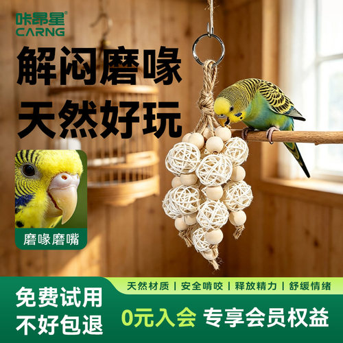 咔昂星鹦鹉笼内造景装饰玩具藤球吊环挂件小鸟家园美化布置高颜值