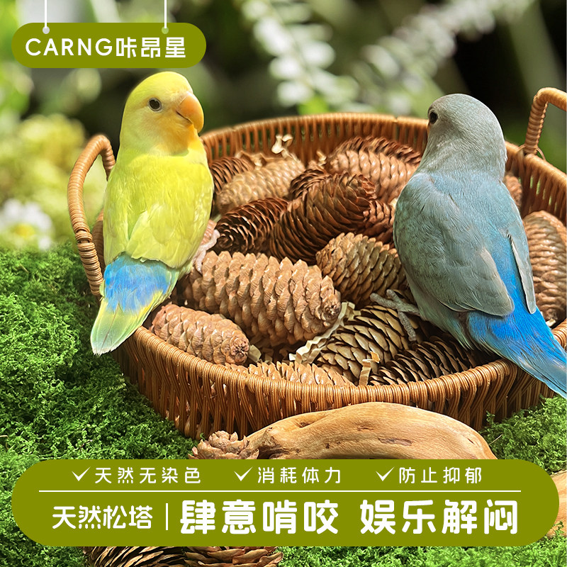 咔昂星鹦鹉玩具大全解闷自嗨啃咬松塔松果牡丹磨嘴牙用品鸟笼配件图片
