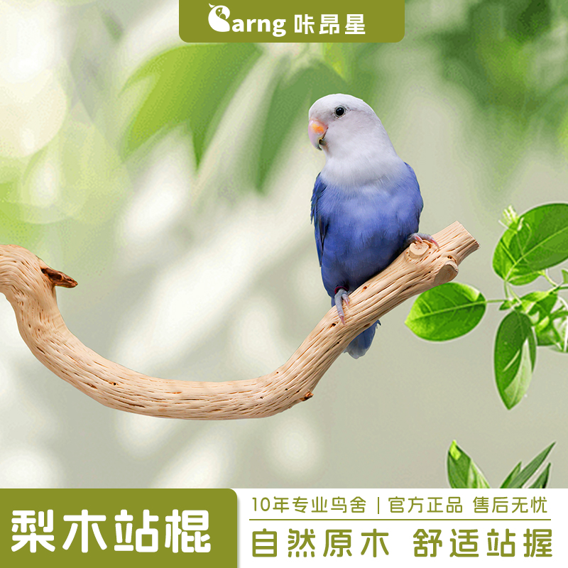 咔昂星鹦鹉梨木站杆小鸟磨嘴站架