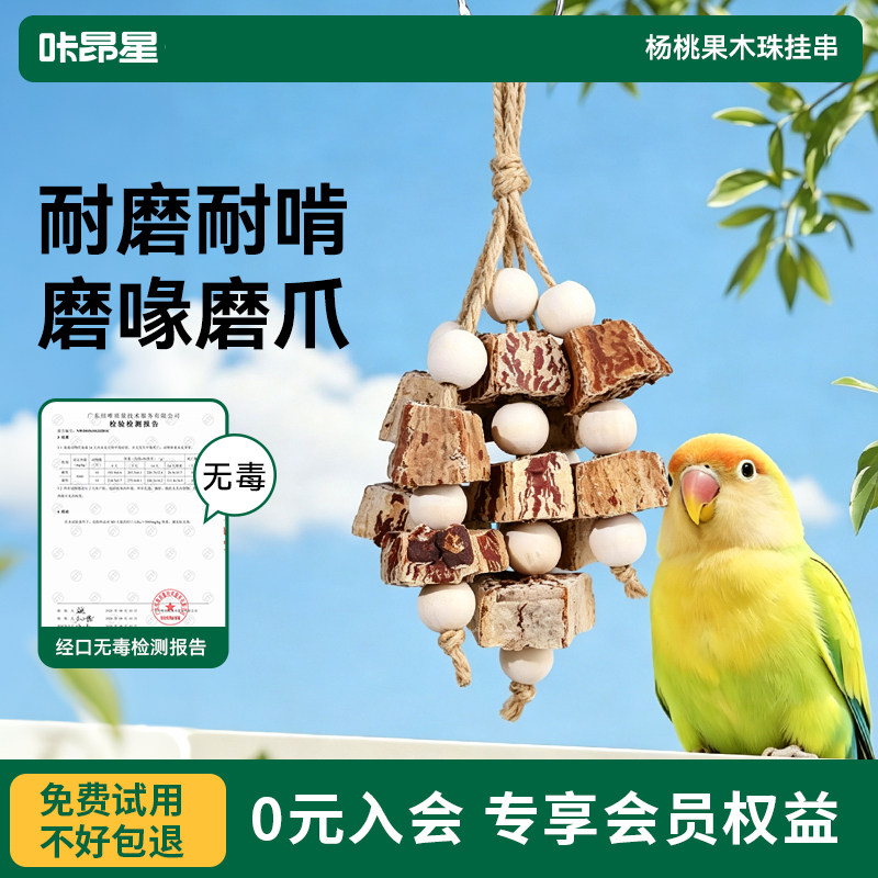 咔昂星鹦鹉啃咬玩具挂件杨桃果串图片