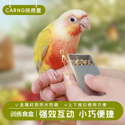 咔昂星鹦鹉训鸟食盒外出互动食盒