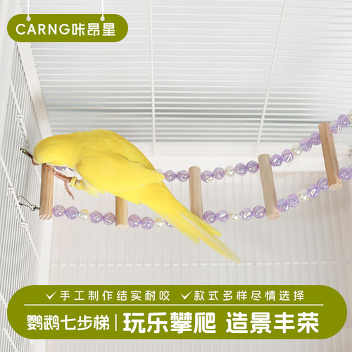 咔昂星鹦鹉攀爬玩耍云梯