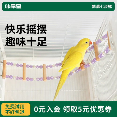 咔昂星鹦鹉攀爬玩耍云梯