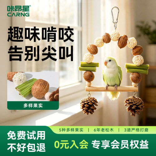 咔昂星鹦鹉秋千天然小鸟玩具站杆