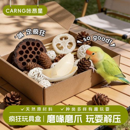 咔昂星豪华啃咬玩具盒耐咬解闷发泄鹦鹉鸟玩具自嗨磨牙鹦鹉玩乐盒