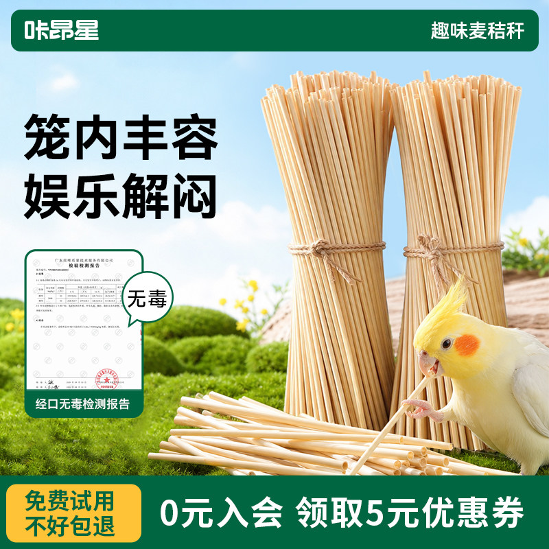 咔昂星鹦鹉玩具大全虎皮玄凤牡丹解闷自嗨啃咬磨嘴牙用品鸟笼配件