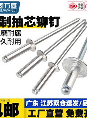 大帽铝铆钉抽芯铆钉大头拉铆钉大帽子铝制拉钉大扁头拉卯钉M4M5