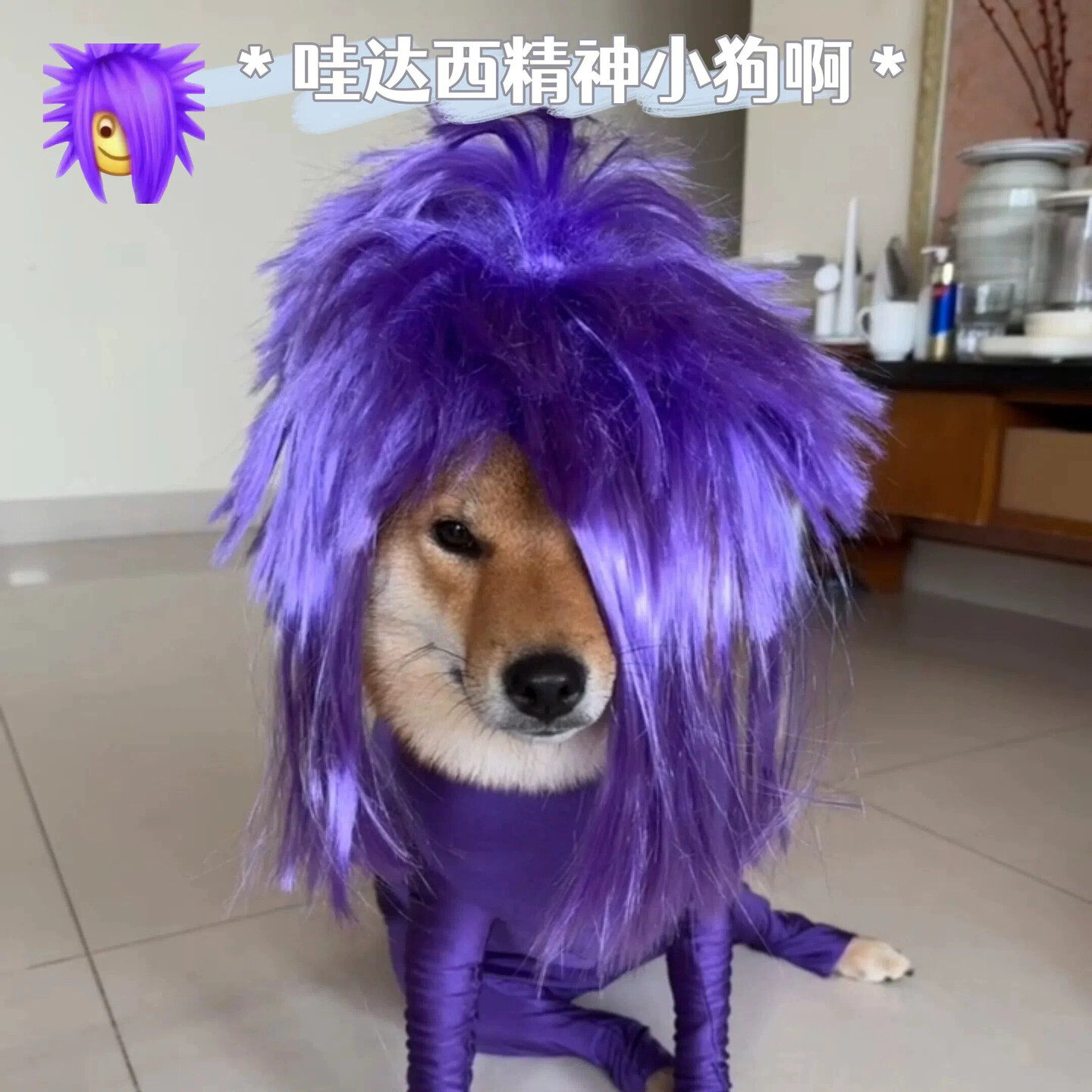杀马特假发全头套男女朋克造型宠物非主流个性沙雕搞怪彩色爆炸头