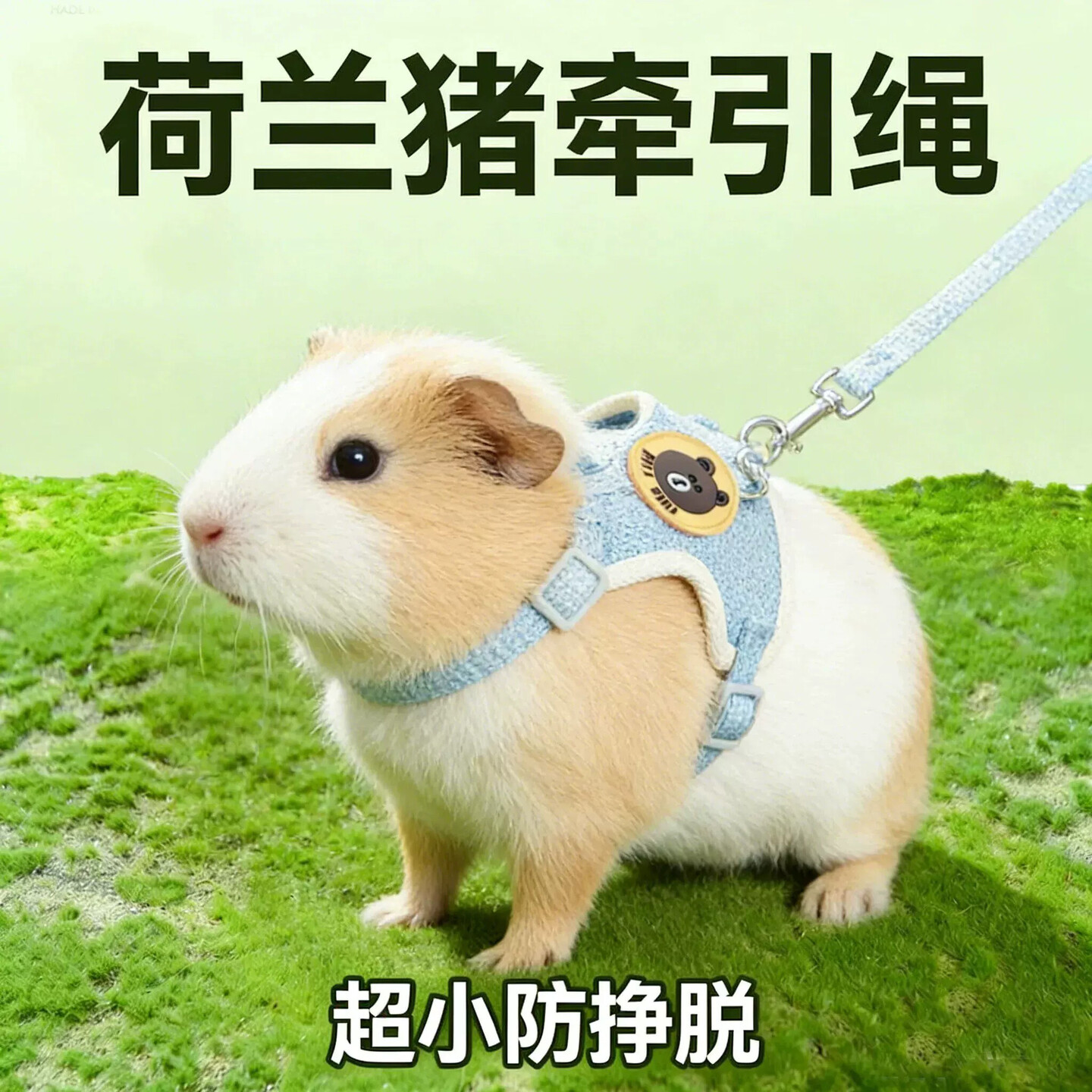 荷兰猪专用牵引绳防挣脱宠物龙猫熊超小1斤背心式溜豚鼠专用的绳