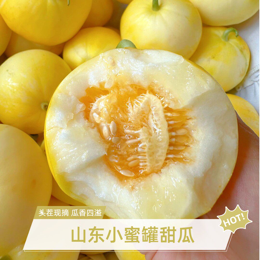【京东】山东小蜜罐甜瓜星甜20甜瓜脆甜瓜香四溢新鲜头茬现摘蜜瓜