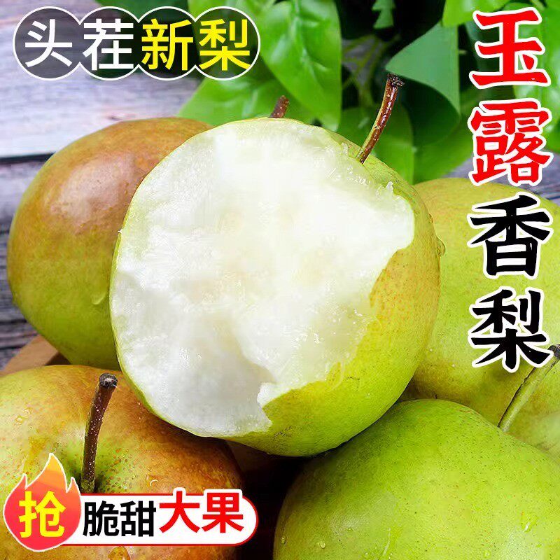 山西玉露香梨新鲜梨子农家当季水果现发整箱包邮甜脆多汁酥梨FX