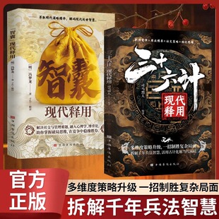 一招制胜复杂局面拆解配 多维度策略升级 三十六计现代释用