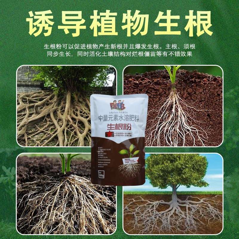 树挪活生根粉大树生根剂植物生根液绿植扦插移栽果树发根液花卉