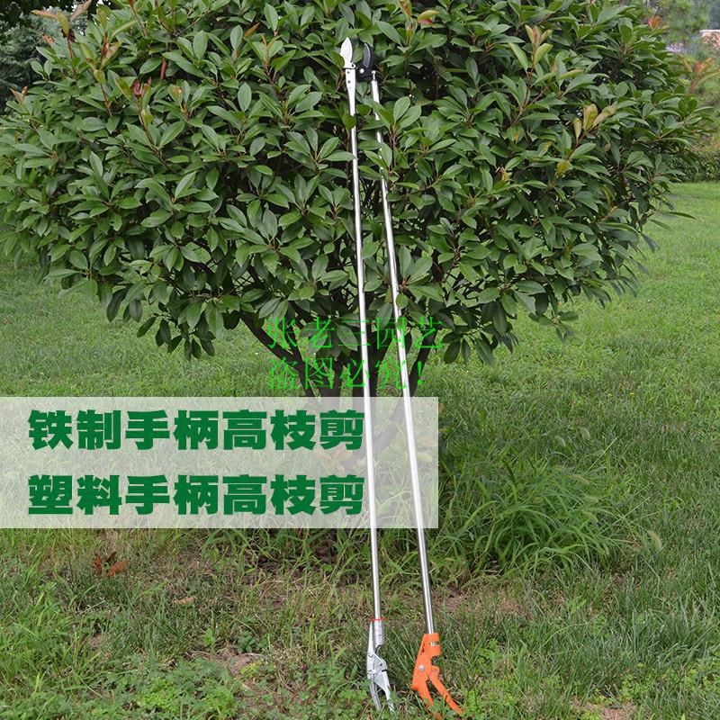加长园艺果树剪刀修枝剪园林树枝专用省力L工具长柄高空大剪子神