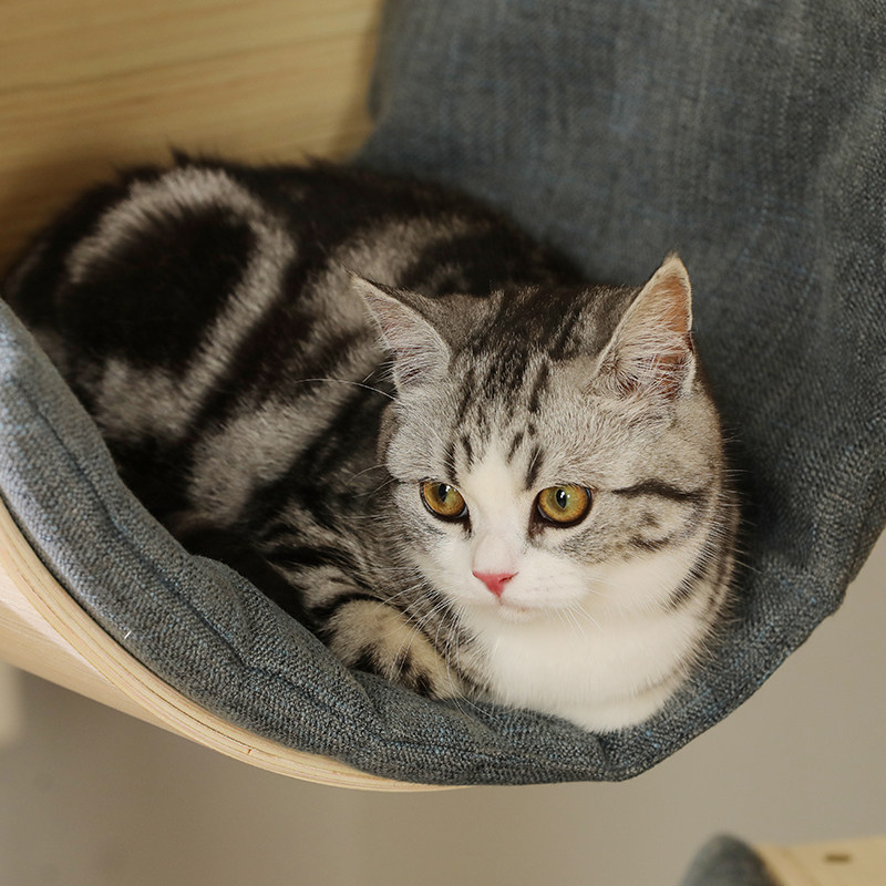 猫爬架猫窝猫树一体夏天木舍别墅剑麻猫咪抓柱猫抓板小型实木猫架