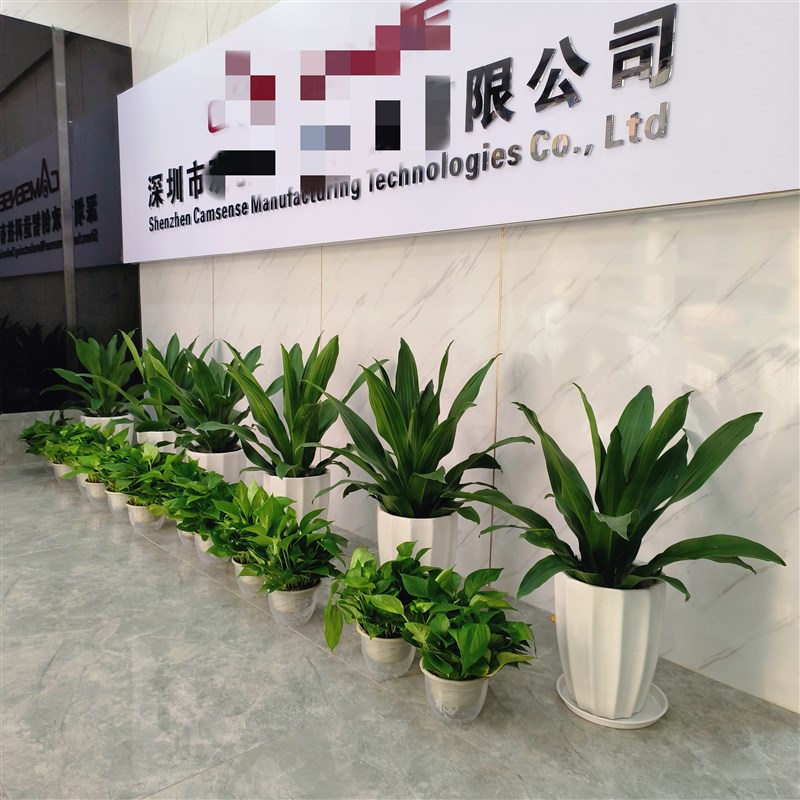 青叶也门铁盆栽室内客厅办公室前台耐阴好养落地四季常青绿植美观