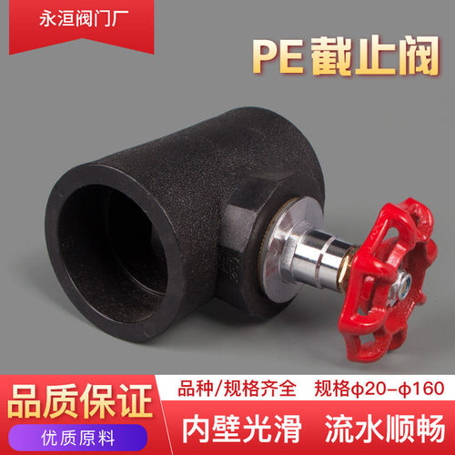 20PE升降截止阀门25自来水管止水闸阀开关4分6分1寸球阀管件配件